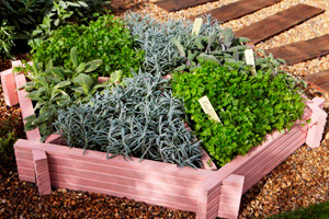 Herb planter painted with a retro pastel shade